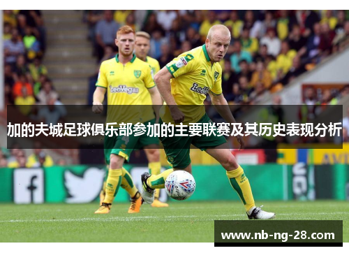 加的夫城足球俱乐部参加的主要联赛及其历史表现分析 加的夫城足球俱乐部参加的主要联赛及其历史表现分析