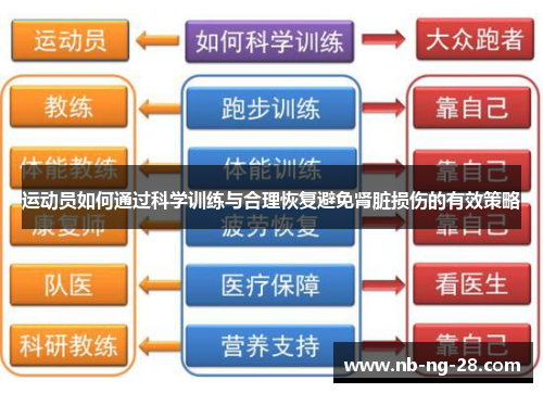 运动员如何通过科学训练与合理恢复避免肾脏损伤的有效策略 运动员如何通过科学训练与合理恢复避免肾脏损伤的有效策略