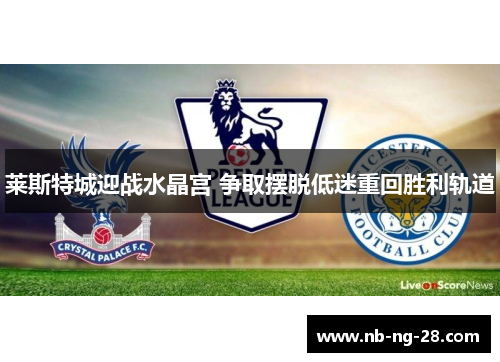 莱斯特城迎战水晶宫 争取摆脱低迷重回胜利轨道 莱斯特城迎战水晶宫 争取摆脱低迷重回胜利轨道